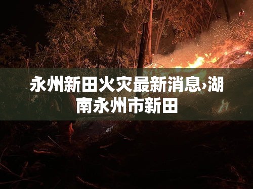 永州新田火灾最新消息›湖南永州市新田