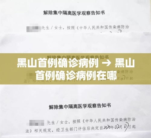 黑山首例确诊病例 → 黑山首例确诊病例在哪 黑山首例确诊病例 → 黑山首例确诊病例在哪