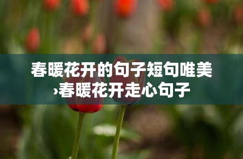 春暖花开的句子短句唯美›春暖花开走心句子