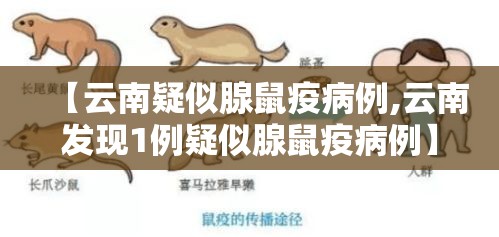 【云南疑似腺鼠疫病例,云南发现1例疑似腺鼠疫病例】 【云南疑似腺鼠疫病例,云南发现1例疑似腺鼠疫病例】