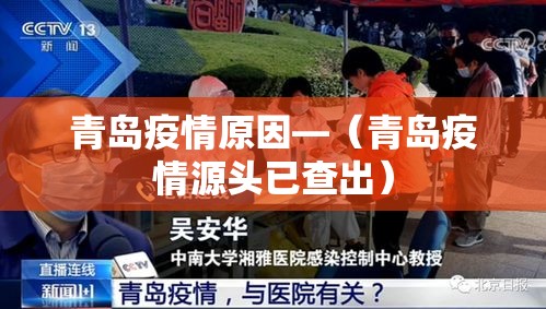 青岛疫情原因—(青岛疫情源头已查出) 青岛疫情原因—(青岛疫情源头已查出)