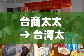 台商太太 → 台湾太太是什么意思